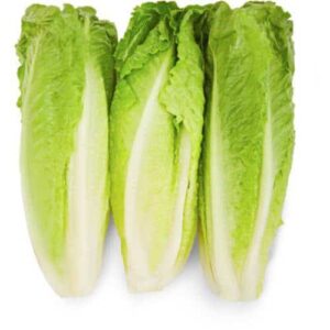 Romaine Lettuce