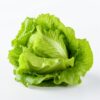 Delicious Dynamite Lettuce