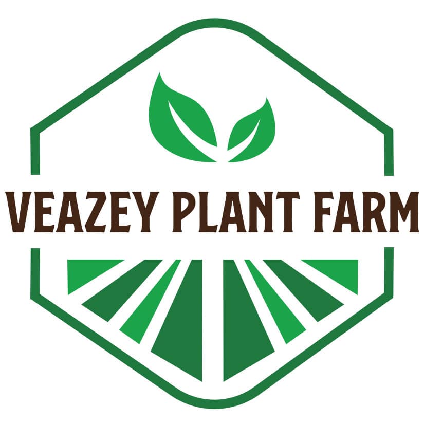 Leafy Green Plants Veazey Plant Farm   Slice1 